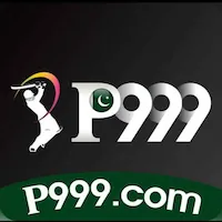 P999 game icon